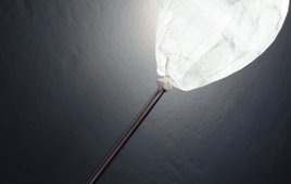 I palloncini di DePerLe