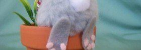 20140419-111554.jpg