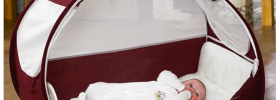 Immagine 8