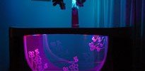 intellicot-night-light
