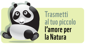 pandino